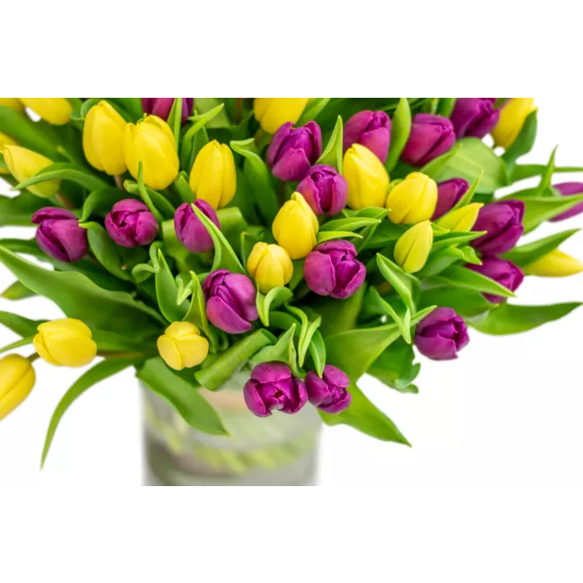 Kytice tulipánů